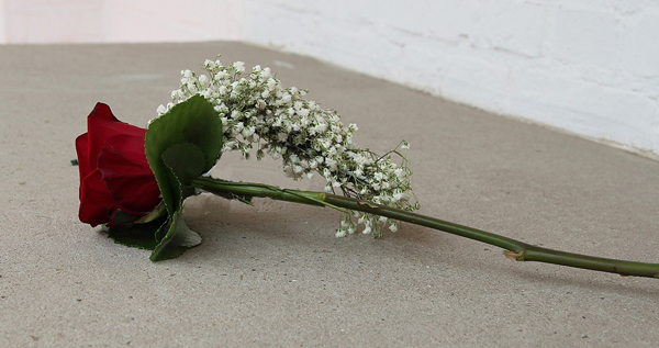 Grafwerk bloemen Nr.6