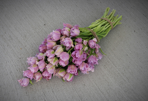 Grafwerk bloemen Nr.50